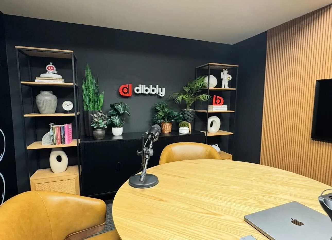 Dibbly podcast studio with professional microphones